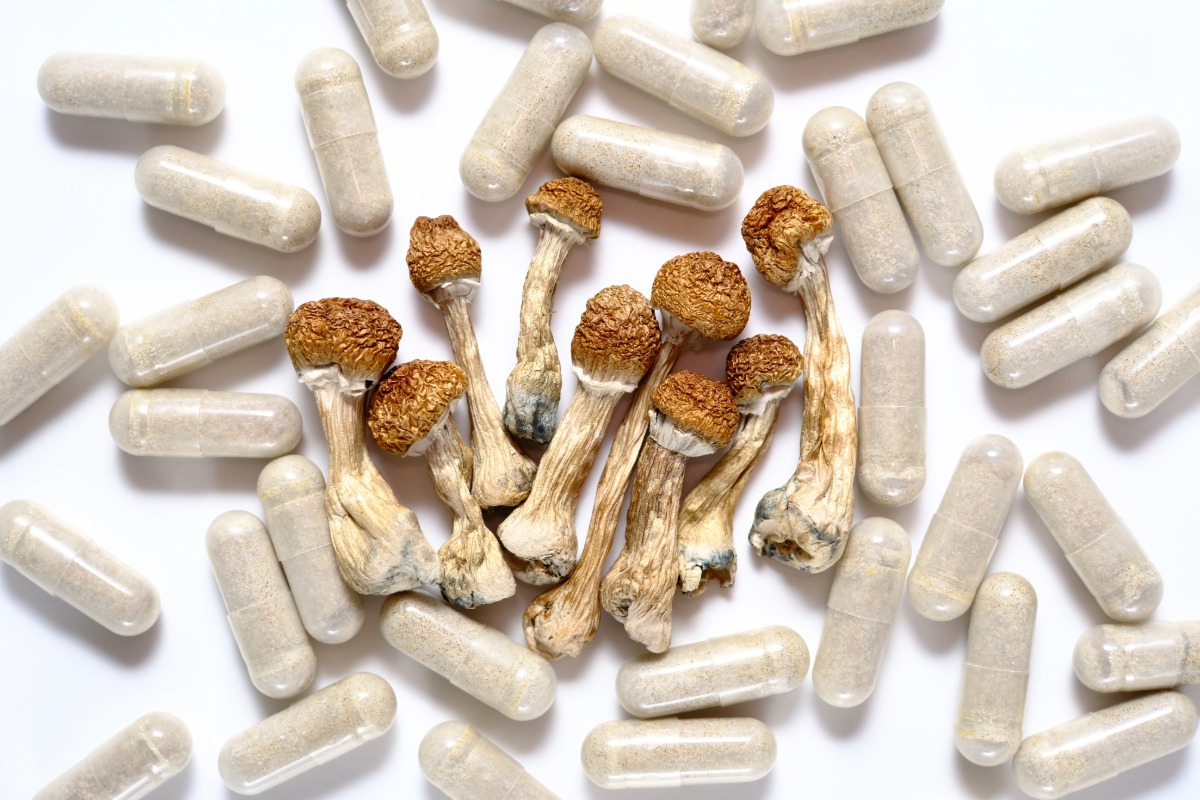 psychedelic mushrooms history