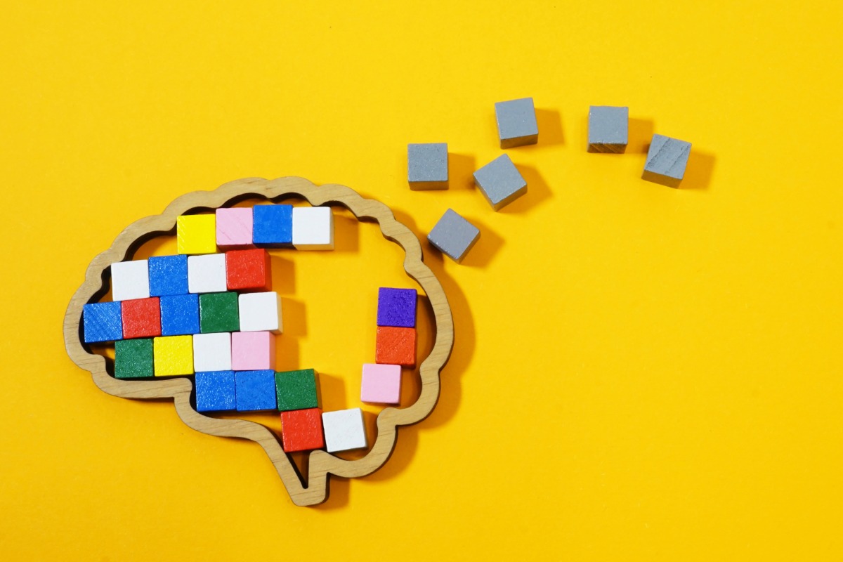 lions mane for memory