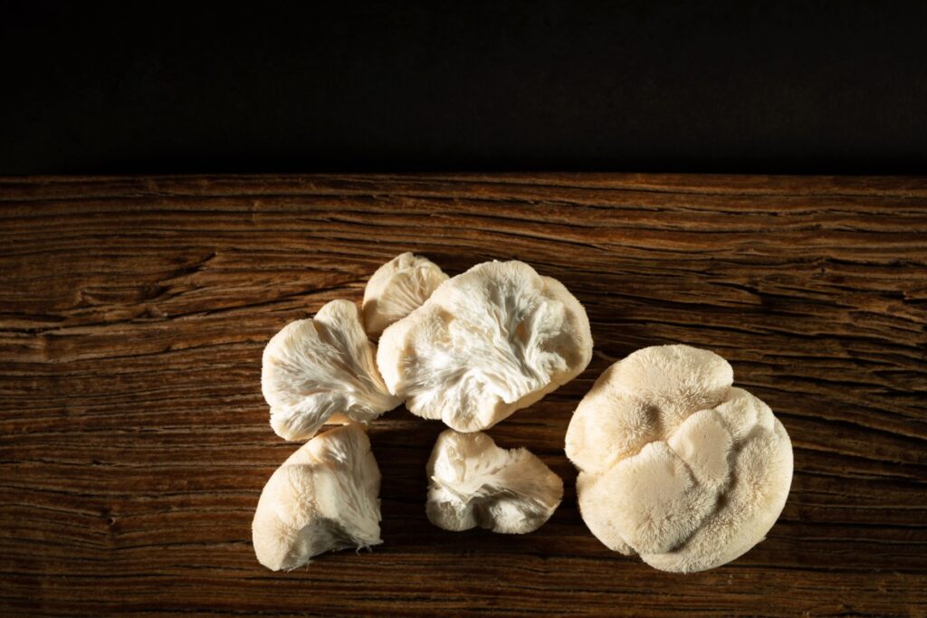 microdosing lion's mane