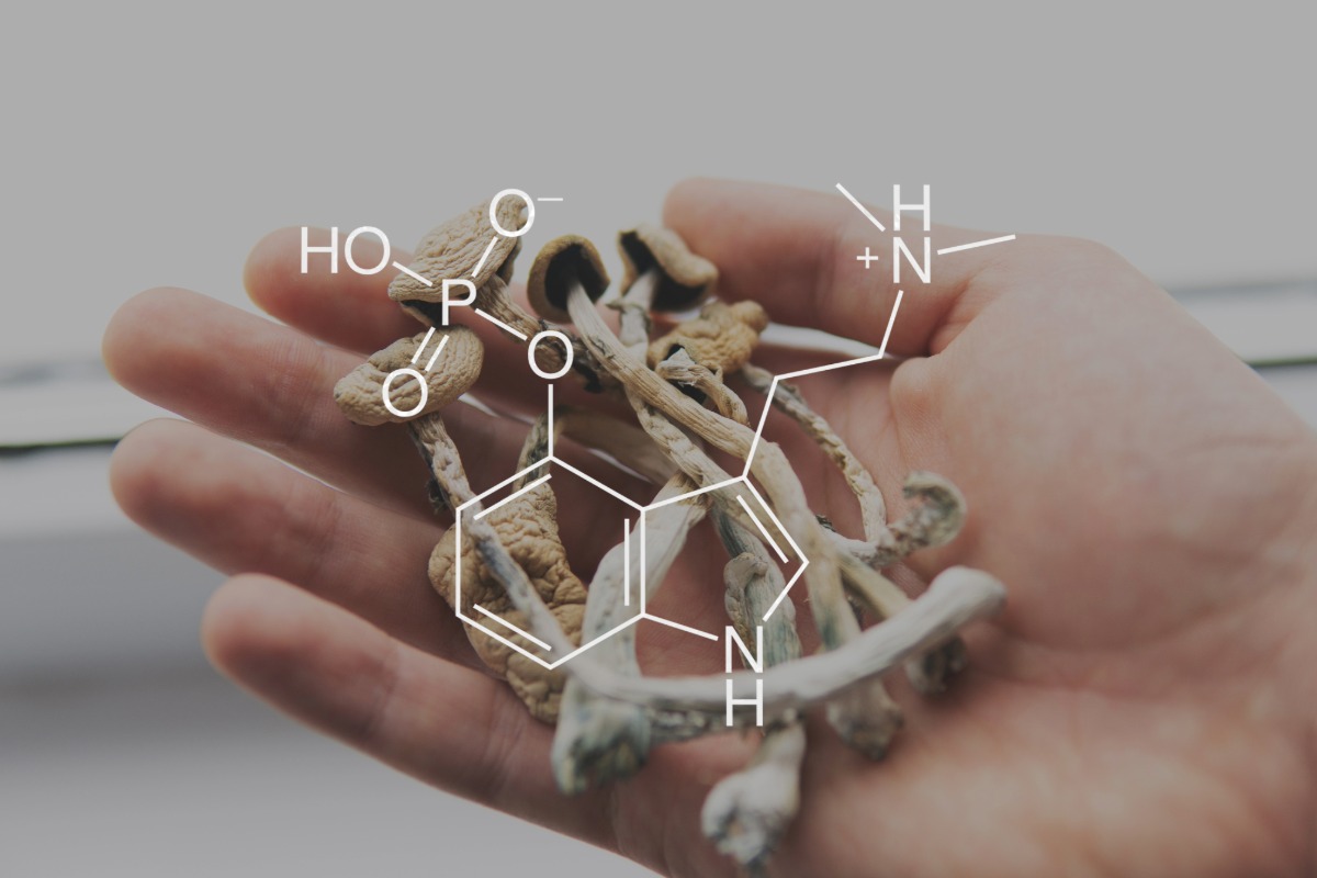 microdosing mushrooms