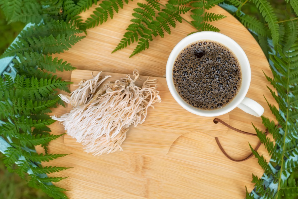 mushroom coffee focus