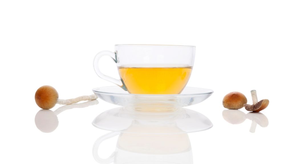 mushroom tea recipe