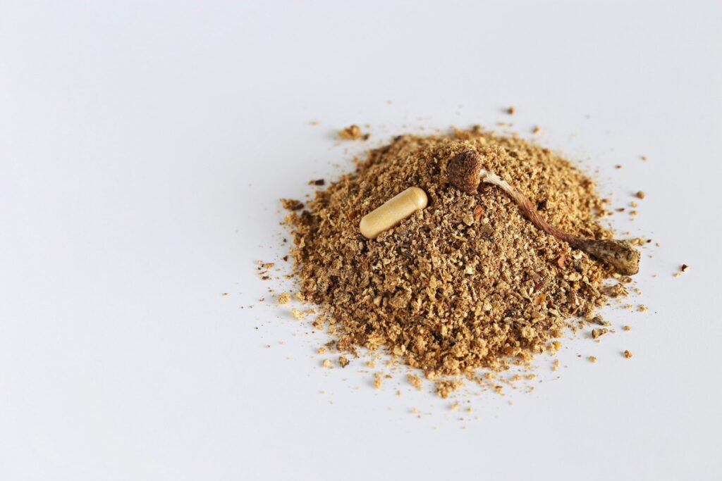 psilocybin microdosing for focus