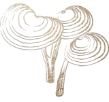 Lynx_Graphic_Reishi-removebg-preview(1)