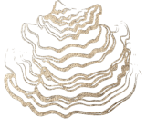 Lynx_Graphic_TurkeyTail-removebg-preview(1)(1)